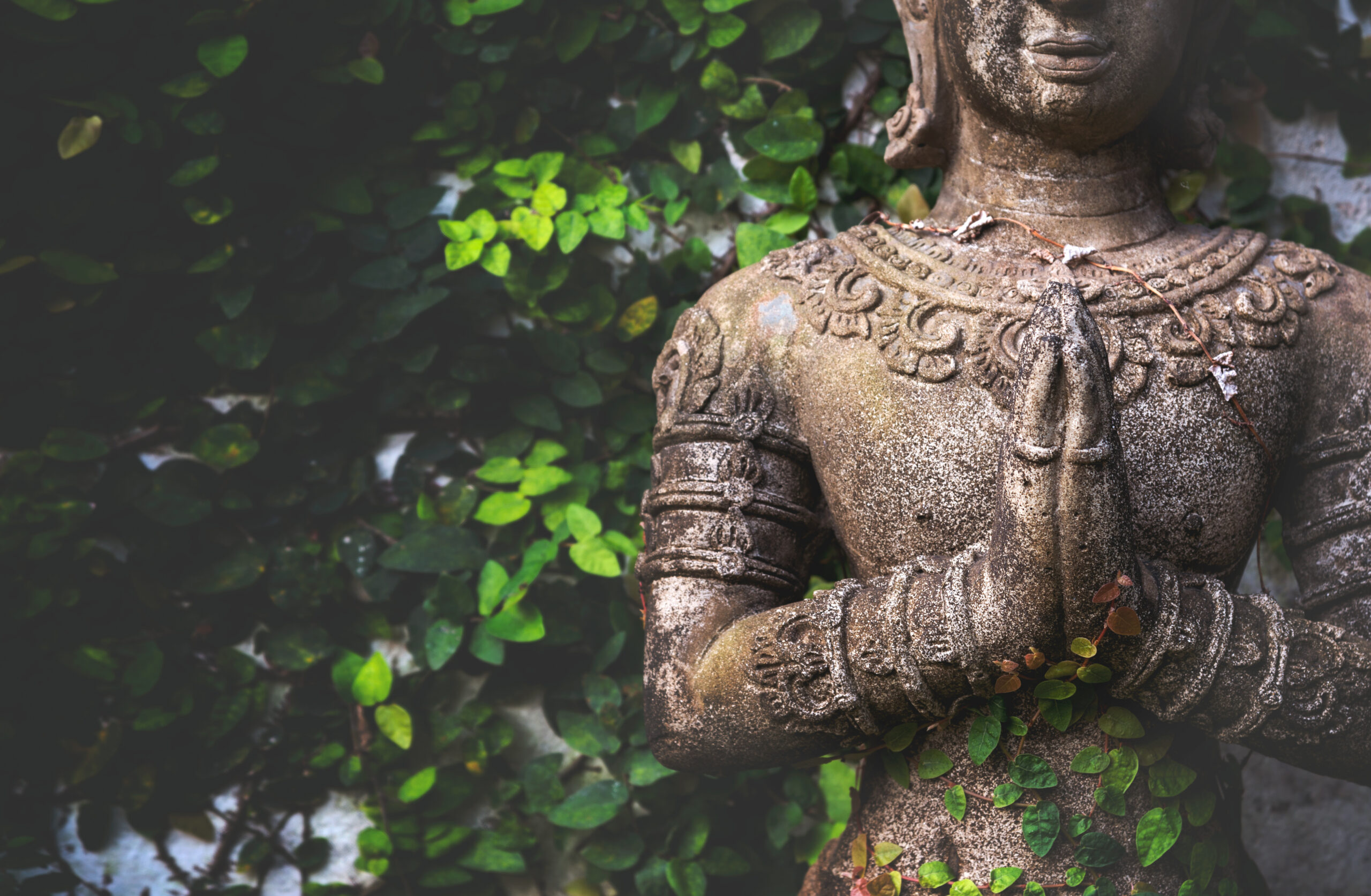 Part 9 – When Yoga Becomes a Threat to Control